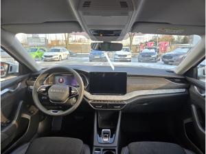 Skoda Octavia DSG AHK ACC HeadUp 360° Winter+