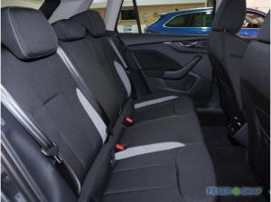 Skoda Kamiq Tour 1,0 TSI DSG - AHK,LED,SHZ,ACC,KAMERA