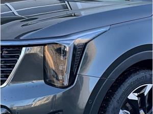 Kia Sorento PE 2.2D AWD Platinum AHK Nappa Glasdach Premium
