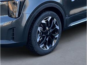 Kia Sorento PE 2.2D AWD Platinum AHK Nappa Glasdach Premium