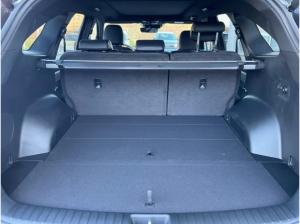 Kia Sorento PE 2.2D AWD Platinum AHK Nappa Glasdach Premium