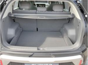 Kia EV3 81.4 EARTH Winter-Connect- Business- Upgrade-Paket
