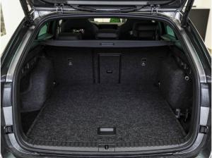 Skoda Octavia Combi RS 2.0 TSI AHK Pano CANTON Winter