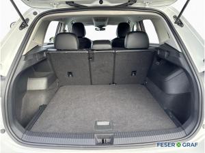 Volkswagen Tiguan 2.0 TDI DSG Goal AHK NAVI LED-PLUS KAM