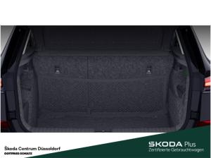 Skoda Kamiq Tour TSI Ausstattungs-Paket: Black Infotainment-Paket
