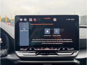 Cupra Formentor VZ Black Ed. 2.0 TSI 4Dr. *Leder*Pano*AHK*