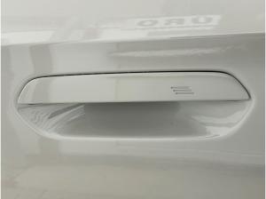 BMW X1 sDrive20i xLine 19-Zoll/AHKPremiumPaket/RFK