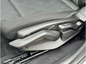 BMW iX1 xDrive30 18-Zoll/AHK/LKH/DrivingAssistant