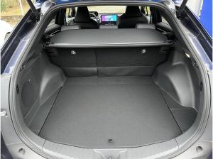 Subaru SOLTERRA Platinum Plus