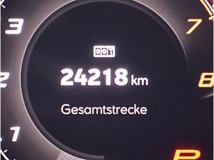 Cupra Formentor 1.5 eTSI DSG Edg Navi GJR SHZ PDC RFK // SONDERLEASING SOFORT VERFÜGBAR!!