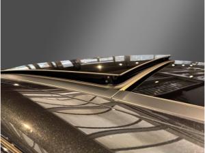 Alfa Romeo Stelvio Veloce Q4 2.0 Turbo-21 Zoll-Panoramadach-