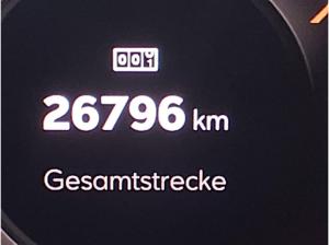 Cupra Formentor 1.5 eTSI DSG Sennheiser Navi SHZ GJR Edge // SONDERLEASING SOFORT VERFÜGBAR!!