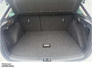 Skoda Scala Balance 1.5 TSI  (Mettmann)