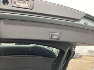 Cupra Terramar America`s CUP Limited Edition  2.0 TSI 4DRIVE (265PS)