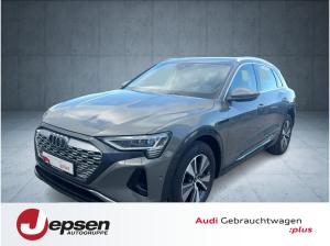 Audi Q8 e-tron advanced 50 qu. PANO HUD AHK Matrix 19