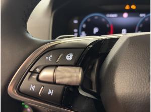 Skoda Karoq SOFORT VERFÜGBAR! Balance DSG ACC AHK Navi LED