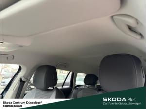 Skoda Superb Combi Selection TDI DSG AHK Infotainment-Paket Fahrassistenz-Paket