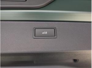 Cupra Formentor VZ Tribe Edition 2.0 TSI 245kW (333PS) 7-Gang DSG 4Drive SOFORT VERFÜGBAR! 135