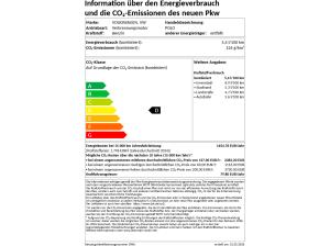 Volkswagen Polo Style 1.0 TSI DSG *Allwetter*RFK*