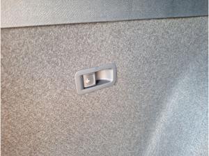 Cupra Formentor VZ 2.0 TSI 195kW (265PS) *DSG*NAVI*PANO*AHK*MATRIX*SHZ*Travel-Ass.*360°*Privatkunden*