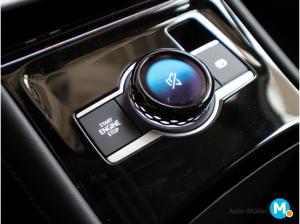 Volkswagen Tiguan Elegance 2,0 l TDI DSG Kamera Keyless 19