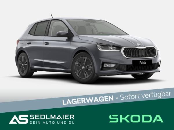 Skoda Fabia 1.0 TSI Tour SHZ|LenkHz|RCam|Tempom|CarPlay