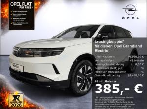Opel Grandland Electric Edition Allwetter AHK-abnehmbar Navi LED ACC El. Heckklappe Apple CarPlay