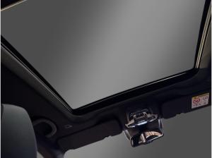 Alfa Romeo Stelvio Veloce Q4 2.0 Turbo - AHK - 21 Zoll- Panoramadach