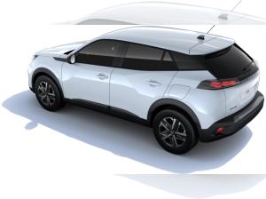 Peugeot 2008 BUSINESS Benzin 100