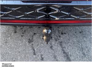 Volkswagen ID.7 Tourer GTX 4M 250 kW NAVI AHK DCC KAM ACC LED SHZ PDC LM