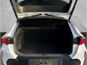 Cupra Formentor VZ 2.0 TSI 195 kW DSG AHK MATRIX LED PANO TOP VIEW ACC