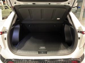 Hyundai KONA Trend Elektro 2WD LENKHZG SHZ KAMERA CARPLAY