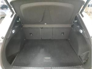 Cupra Terramar VZ 2.0TSI 4Drive DSG/ Pano, Matrix, AHK