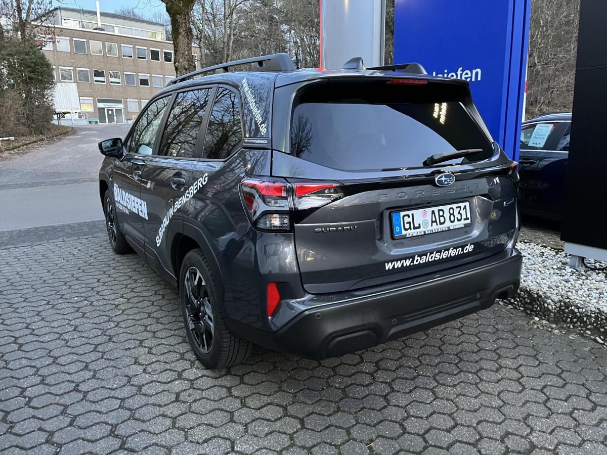 Bild 15