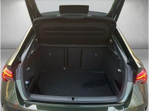 Skoda Octavia RS 2,0 TSI 7-Gang-DSG Area View; Winter; Infotainment & Fahrassistenz Plus