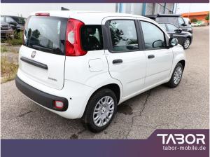 Fiat Panda MHEV 5"-DAB 5-Sitzer PDC DigCo LaneA Temp