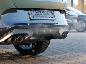 Cupra Formentor VZ Tribe Edition 2.0 333 PS|4WD|Matrix