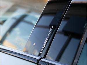 Cupra Formentor VZ Tribe Edition 2.0 333 PS|4WD|Matrix