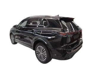 Volkswagen Tiguan 2.0 TDI DSG 4Motion Blackstyle Leder Standheizung Harman Kardon