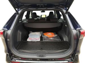 Toyota RAV 4 4x4 Plug-In Teamplayer