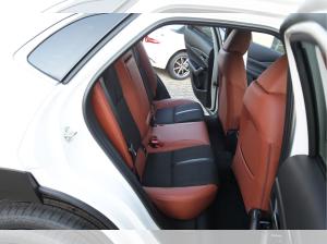 Mazda CX-30 SoMo e-SKYACTIV-G 2.5 140ps Automatik Nagisa