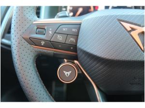 Cupra Ateca 2.0 TSI DSG 4Drive VZ AHK 360 KAMERA DCC LED SHZ 19