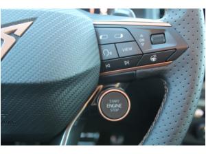 Cupra Ateca 2.0 TSI DSG 4Drive VZ AHK 360 KAMERA DCC LED SHZ 19