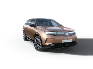 Opel Grandland GS Electric AWD Winter-Paket/Elek. Heckklappe inkl. Flat4Free