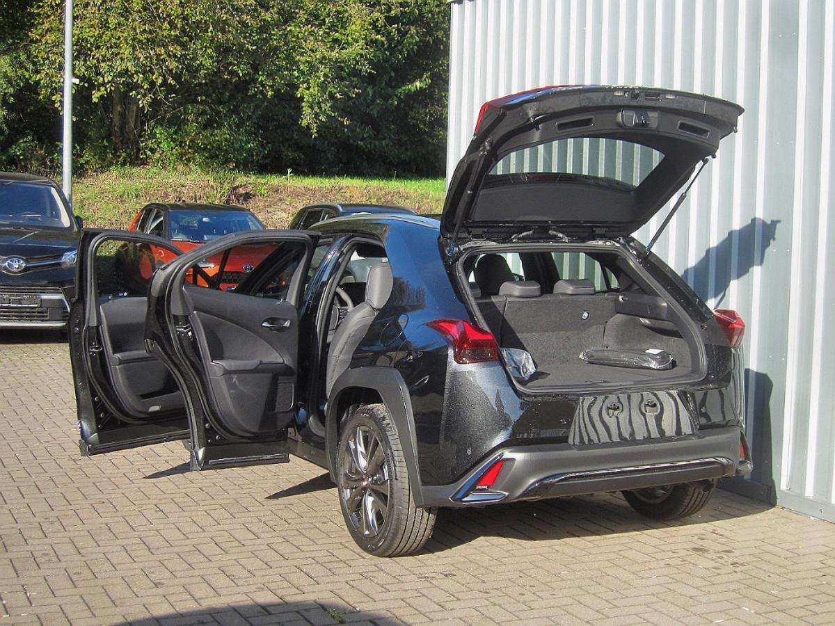 Lexus UX-300h