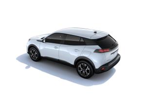 Peugeot 2008 BUSINESS Benzin 100