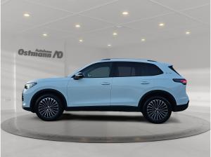 Volkswagen Tiguan 1.5 eTSI Goal el.Heck LM LED DynLi SpurH