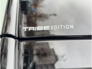 Cupra Formentor VZ Tribe Edition #Sennheiser #Matrix