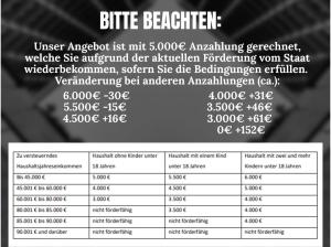 Peugeot 2008 Elektro 156 PS Business ⚡❤️ Inkl. GJR & 11kw OBC