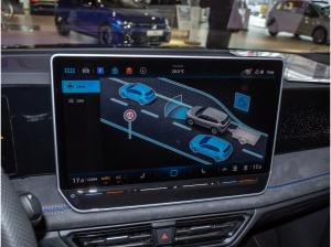 Volkswagen Tiguan R-Line 2,0 l TSI OPF 4MOTION 7-Gang-Doppelkupplungsgetrie be DSG